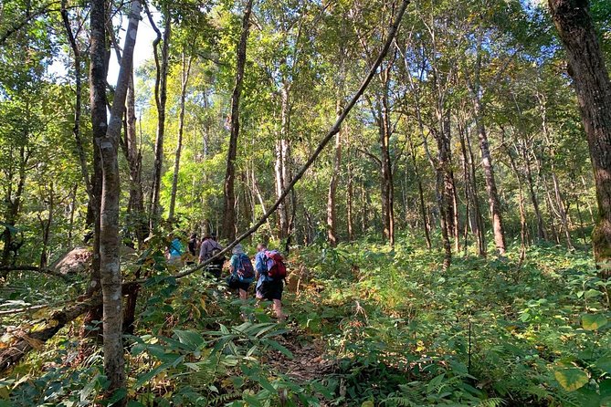 3-Day Chiang Dao Mountain Trek - Safety and Cancellation Policy