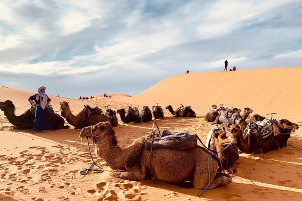 3-Day Desert Excursion From Tangier - Excursion Highlights and Activities