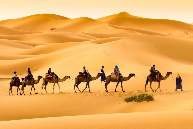 3-Day Merzouga Desert Tour From Marrakech - Customer Support