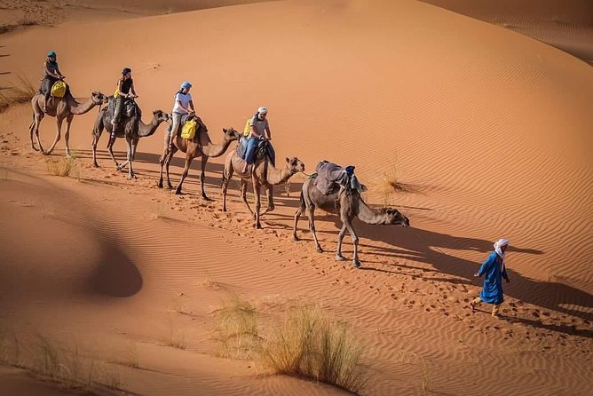 3 Day to Sahara Desert Trip From/To Marrakech - Common questions