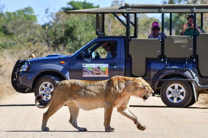 3-Day Tour of Kruger National Park From Skukuza Airport - Customer Reviews and Ratings