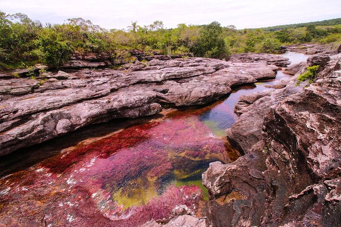 3-Day Trip to Caño Cristales From Bogota - Additional Travel Tips