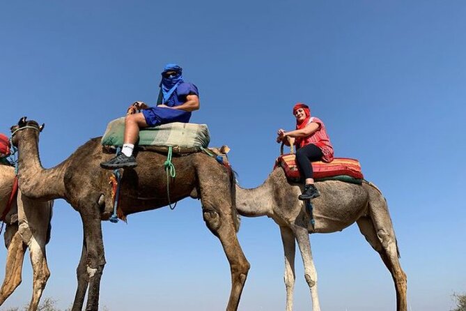 3 Days Desert Tour & Camel Trek From Marrakech to Merzouga - Customer Reviews and Ratings