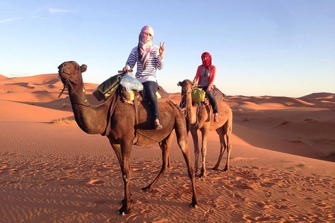 3 Days Desert Tour From Fes to Marrakech via Merzouga - Last Words