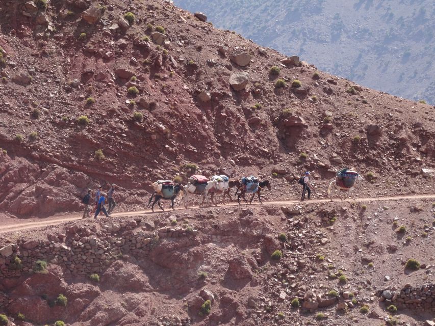 3 Days Hiking in the Atlas Mountains - Common questions