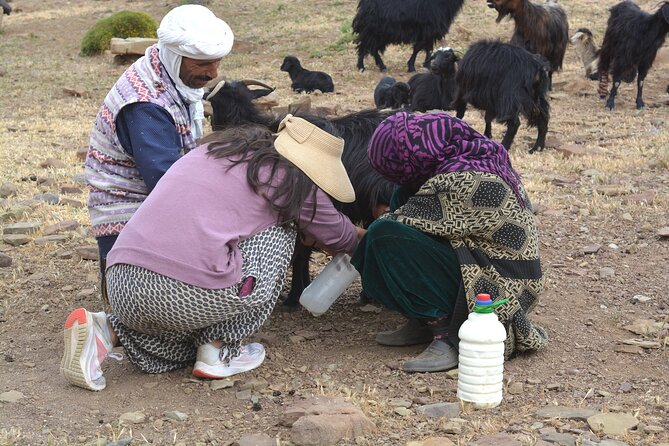 3 Days Homestay With Last Berber Nomads in the Atlas Mountains - Common questions