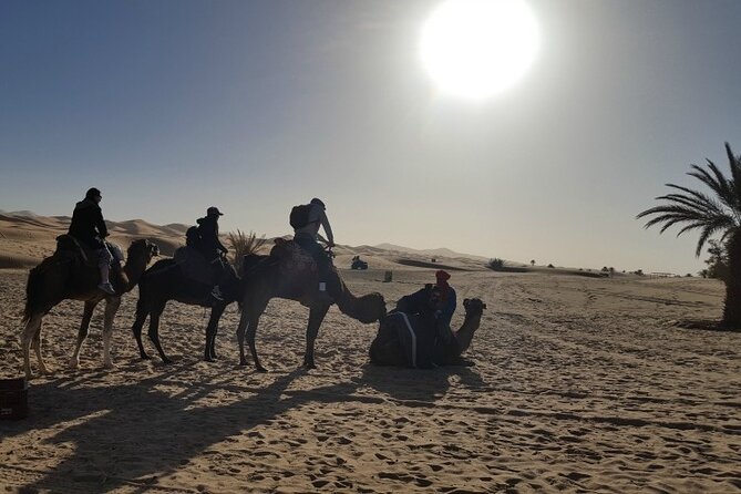 3 Days Private Desert Tour From Fez To Marrakech - Common questions