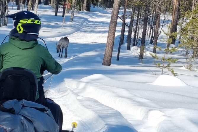 3 Days Snowmobile Raid in Finnish Lapland - Last Words
