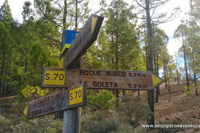 3-Hour Hiking Experience in Roque Nublo - Safety Precautions