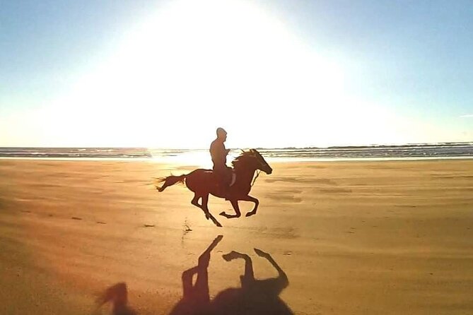 3-hour Horseback Ride Mountain and Beach Morocco - Convenient Logistics and Booking