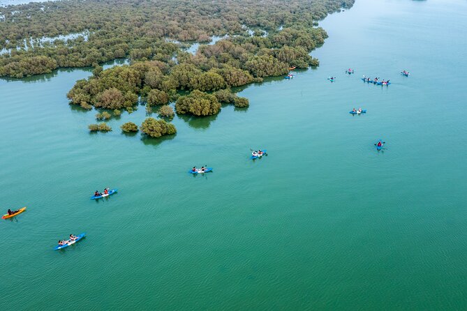 3-Hour Kayaking Eco Adventure - Mangrove Purple Island - Group Size