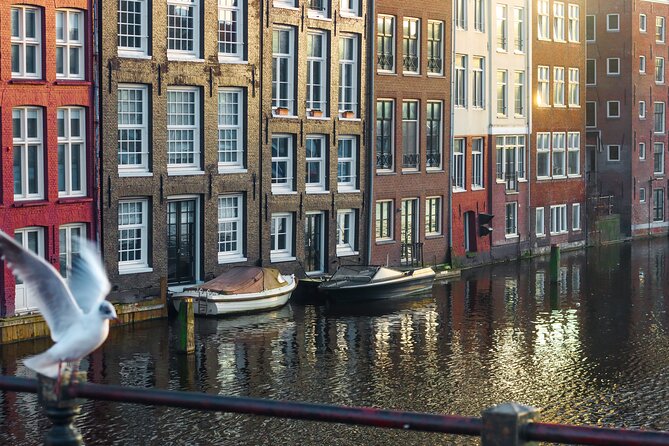 3-Hour Private Amsterdam Photography Tour of Famous Landmarks - Last Words