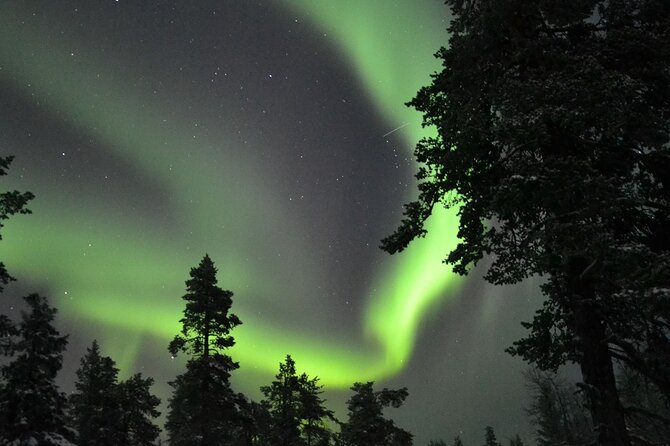 3-Hour Snowmobile Safari to Search Northern Lights in Levi - Safety Precautions