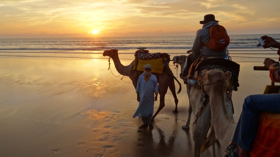 3-Hours Dromedary Ride Essaouira, Morocco - Last Words