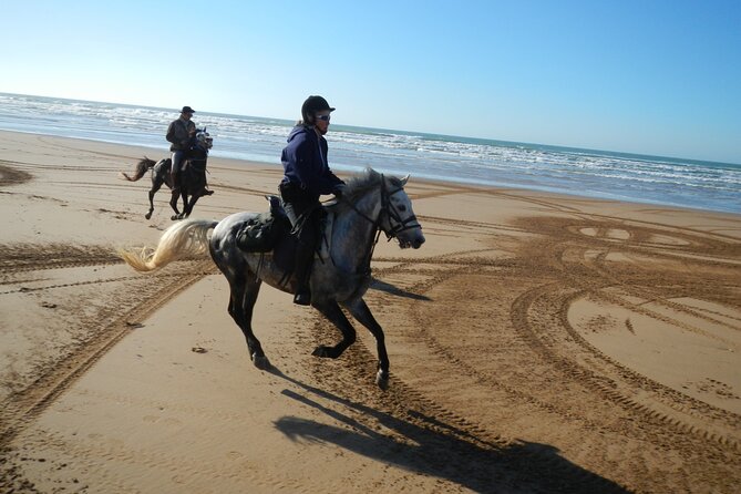 3 Hours Horse Riding in Essaouira, Beach, Forest and Dunes - Last Words