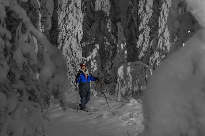 3-Hours Small-Group Ski Trekking by Night Experience - Last Words