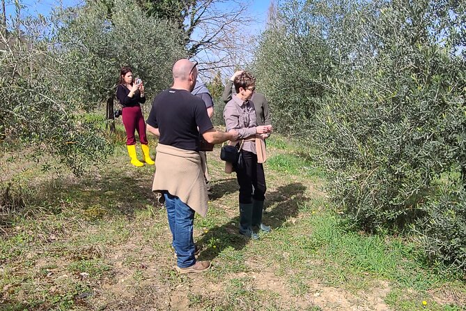 3 Hours Truffle Hunting With Pasta Cooking Class and Lunch - Last Words
