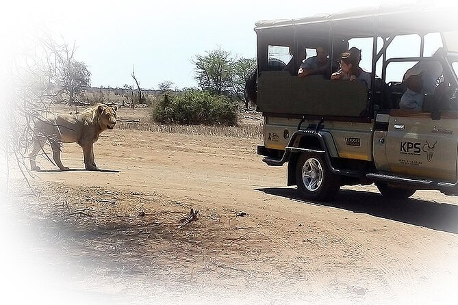 3 Night & 4 Day Private Kruger Park Safari - Common questions