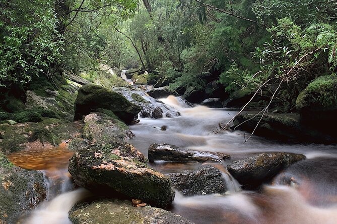 4-Day Private Tasmania Wilderness and Whiskey Walks. - Cancellation Policy