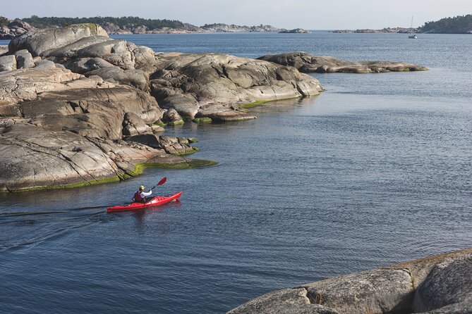 4-Day Stockholm Archipelago Self-Guided Kayak and Wild Camp - Wildlife Encounters