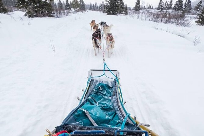 4 Day Tour in Aurora Cabin From Whitehorse - Issues Highlighted by Travelers