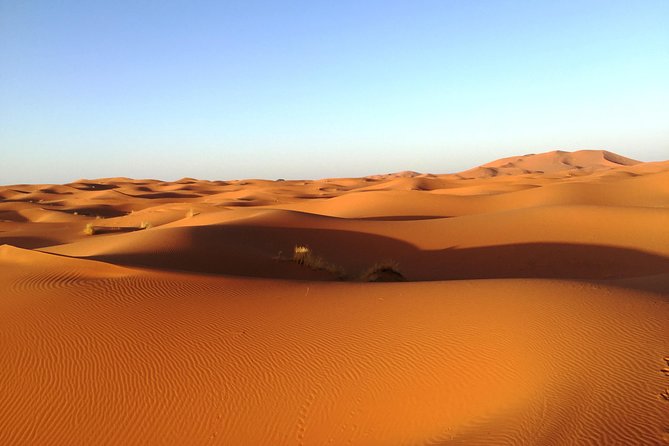 4 Day Trip Enroute From Marrakech to Sahara Desert - Day 4: Merzouga to Marrakech