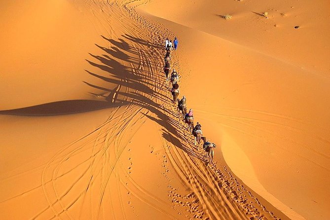 4 Days 3 Nights Tour From Marrakech End up in Marrakech via Merzouga Desert - Meals and Dining Options