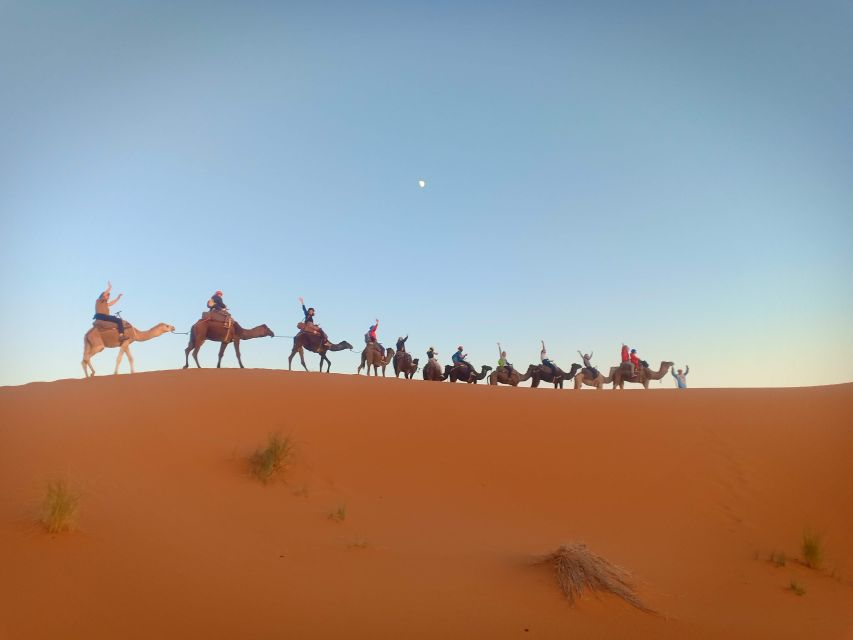 4 Days Desert Tour From Marrakech to Merzouga Dunes - Day 4: Tinghir to Marrakech
