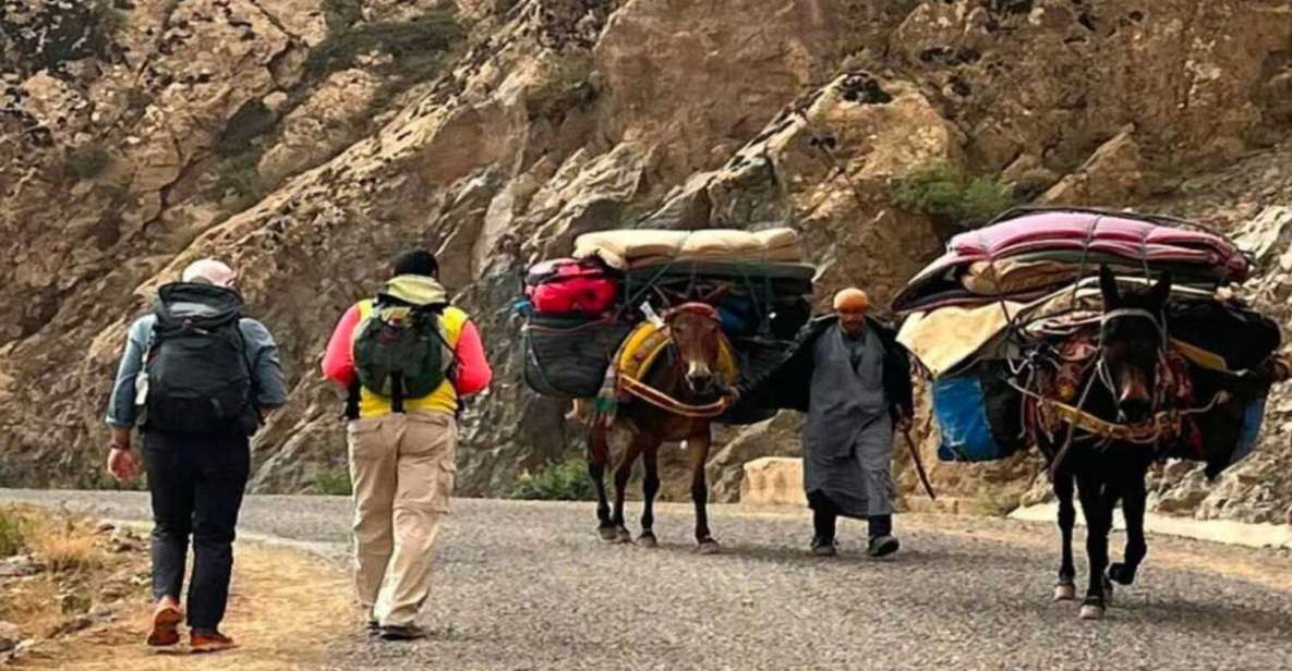 4 Days Trekking, Berber Villages & Berbère Culture - Transportation Services