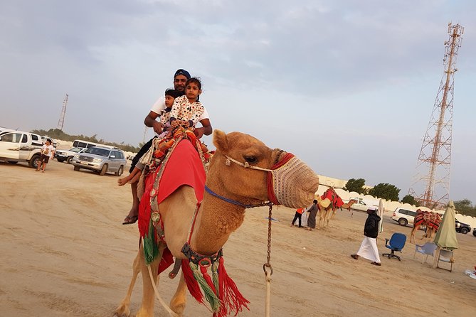 4 Hour Desert Safari, Camel Ride & Inland Sea Beach - Reviews and Pricing