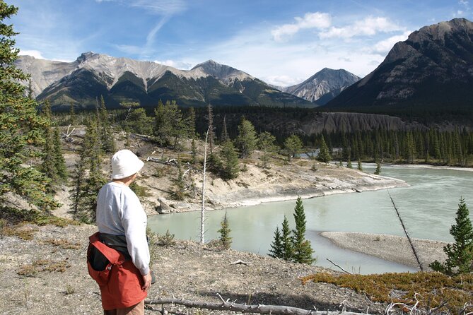 4 Hours Private Tour in Kootenay Plains Trails - Safety Precautions and Guidelines