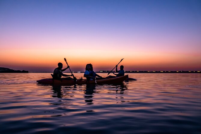 4 Hours Purple Island Mangroves Kayaking Adventure in Qatar - Common questions
