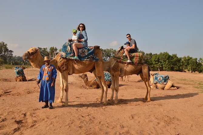 44 Jeep Desert Safari Tour With Lunch and Camel Ride - Desert Safari Adventure
