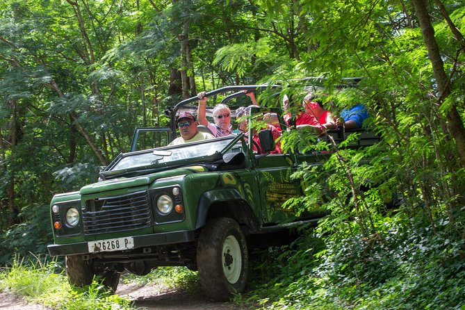 4x4 Jeep Safari Tour in Bora Bora - Tour Highlights and Land Experience