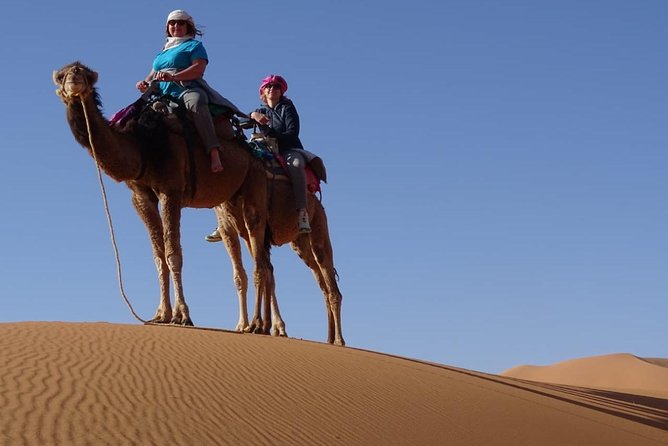 4x4 South Morocco and Sahara Desert Private Tour - Meal Inclusions