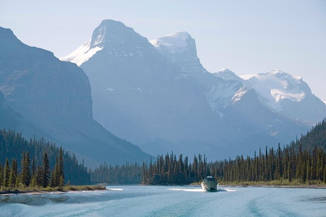 5.5-Hour Jasper Wildlife and Waterfalls Tour With Maligne Lake Cruise From Jasper - Customer Experience