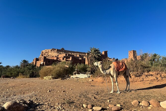 5-Day Private Tour to Sahara and Ergchebbi From Marrakech - Booking and Contact Information