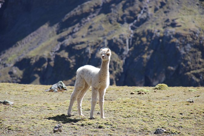 5 Day - Salkantay Trek to Machu Picchu - Group Service - Legal Information