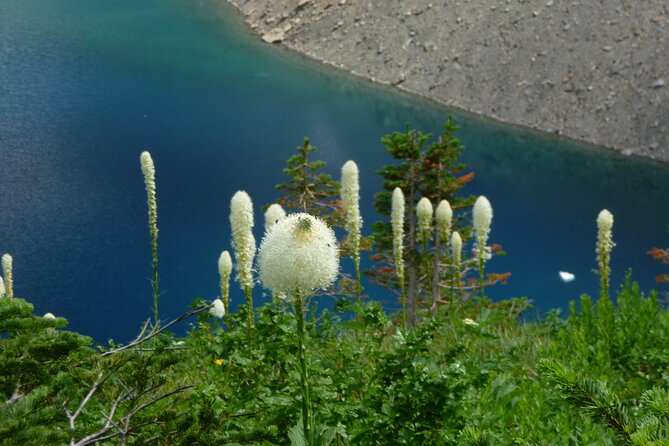 5 Days Hiking Trip in Waterton - Last Words