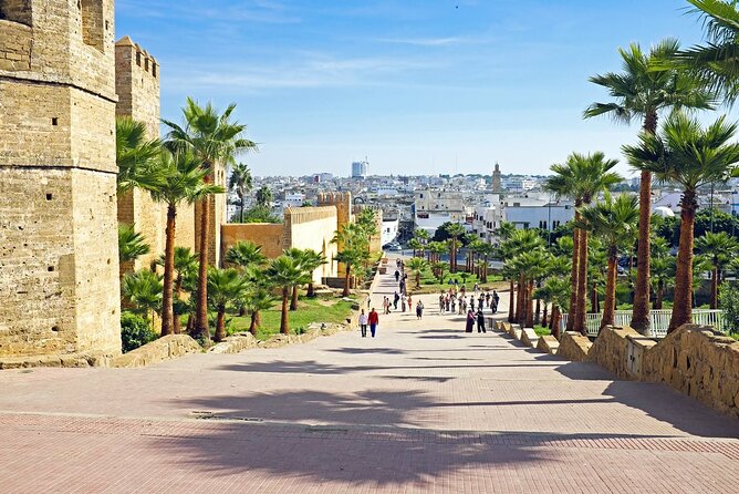 5 Days Private Casablanca Tour to Marrakech via Fès and Desert - Transportation Logistics