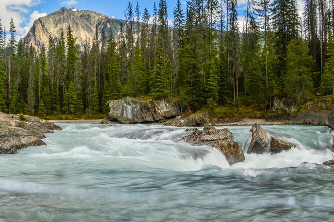 5 Days Rockies Camping & Wildlife Photography - Day 5: Return to Vancouver