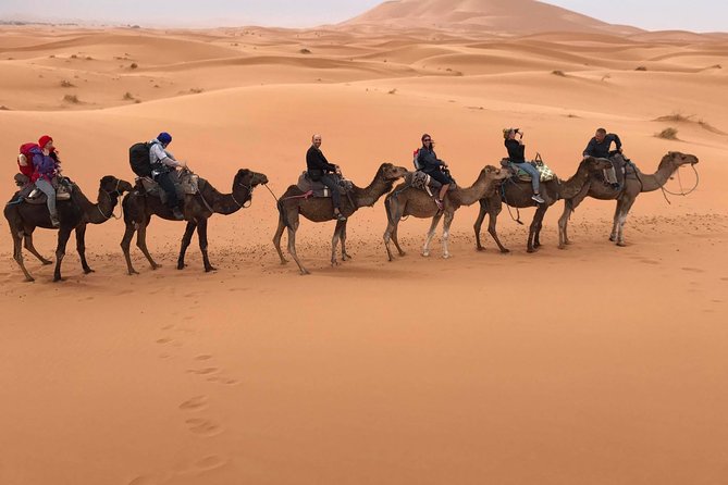 6-Day Private Tour From Casablanca to Marrakech - Reviews and Ratings