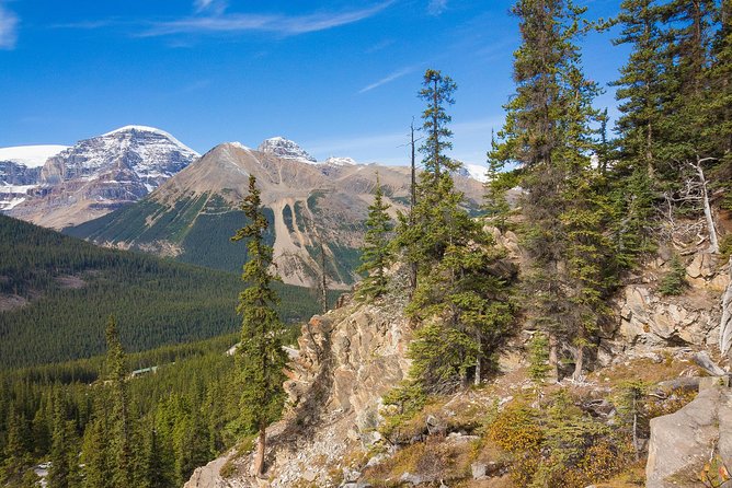 6-Day Rocky Mountains Wapiti Tour From Banff Finish Vancouver - Customer Reviews and Ratings