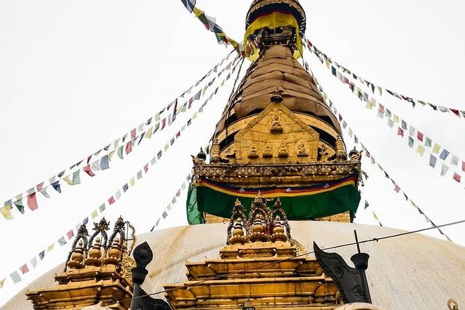 6 Days Special Kathmandu Pokhara Tour in Nepal - Customer Feedback and Reviews