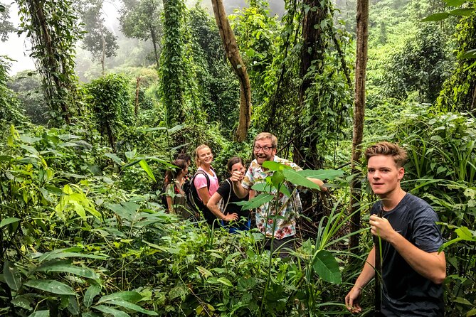 6-Hour Doi Pui Summit Hike in Doi Suthep National Park From Chiang Mai - Booking Information