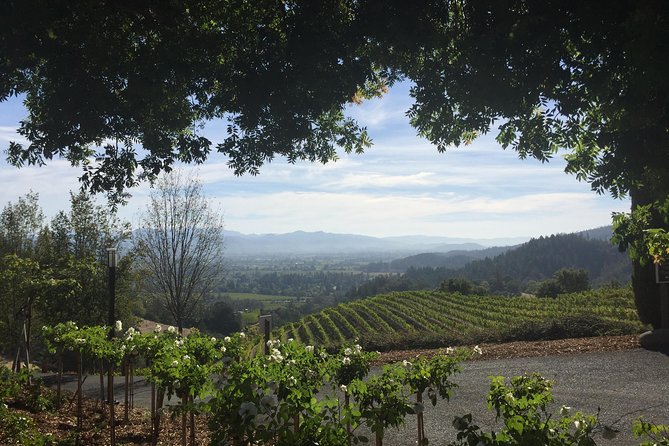 6-Hour Private Wine Country Tour of Napa Valley (Up to 6 People) in Large SUV - Cancellation Policy