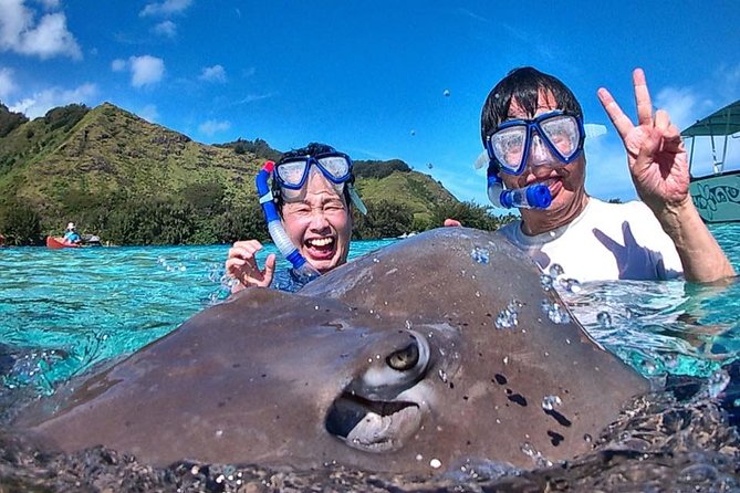 6-hour Snorkeling & Lunch Tour - Private Tour - Additional Details