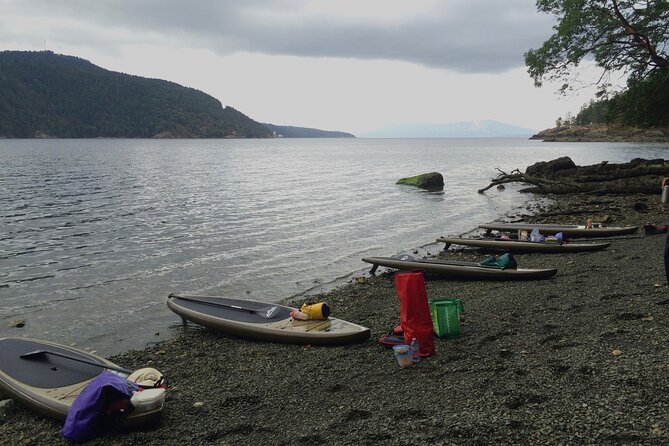 6 Hour SUP Finlayson Arm Fjord - Safety Measures and Precautions