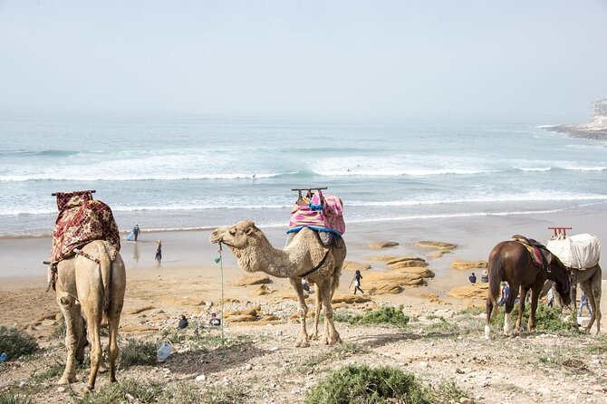 7 Nights Surf and Yoga Package in Morocco - Excursions and Activities