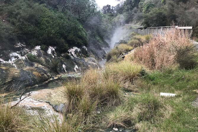 7hr Waimangu Geothermal Valley & Lake Rotomahana Tour - Departs Tauranga - Last Words